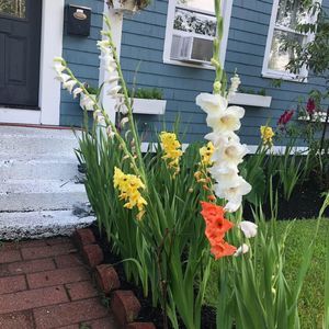 Meet your Posher, Estela